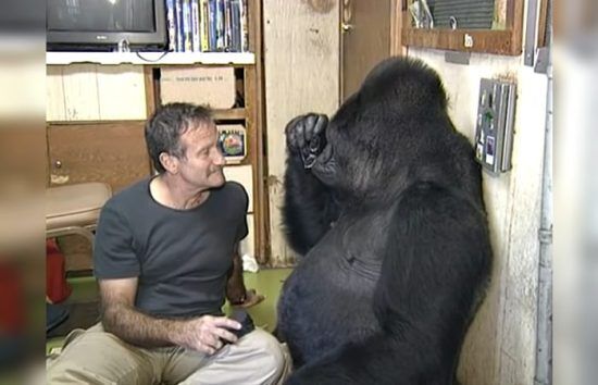 Robin Williams Made Koko Laugh For 1st Time Since Her Best Friend Died