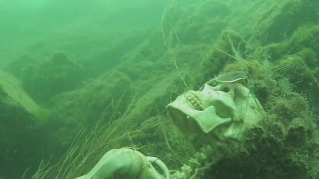 Colorado River skeletons